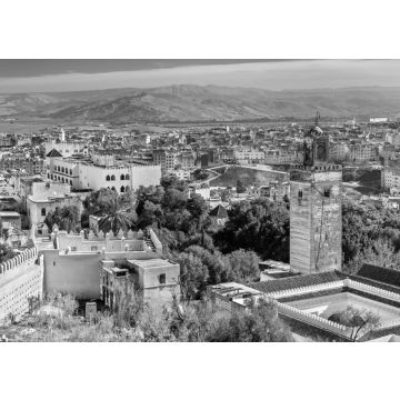 Lais Puzzle - Moschee am Bab Guissa-Tor in Fez, Marokko in schwarz weiß - 500, 1.000 & 2.000 Teile