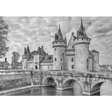 Lais Puzzle - Chateau de Sully-sur-Loire, eines der Schlösser im Loiretal in Frankreich in schwarz weiß - 500, 1.000 & 2.000 Teile