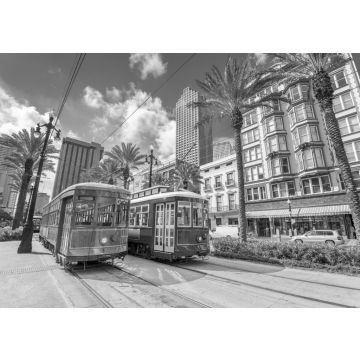 Lais Puzzle - New Orleans, Louisiana in schwarz weiß - 500, 1.000 & 2.000 Teile