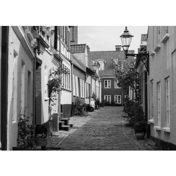 Lais Puzzle - Aalborg Häuser, Dänemark in schwarz weiß - 500, 1.000 & 2.000 Teile