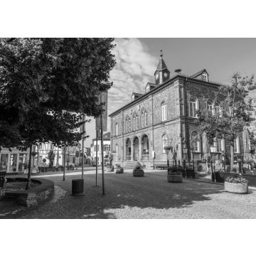 Lais Puzzle - Geisenheim, das Rathaus. 9. Juli 2017. in schwarz weiß - 500, 1.000 & 2.000 Teile