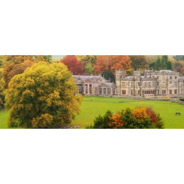 Lais Puzzle - Zurück in die Vergangenheit: unter einem grauen Himmel an einem herrlichen Herbstmorgen, allein in einem Park, der nur von Rehen, Pferden und Kühen begleitet wird, Lough Fea, Carrickmacross, County Monaghan, Irland, Panorama - 2.000 Teile