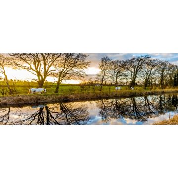 Lais Puzzle - Pferde auf dem Grand Canal, Irland, Panorama - 2.000 Teile