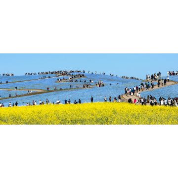 Lais Puzzle - Ibaraki Japan, Panorama - 2.000 Teile