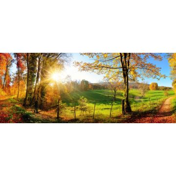 Lais Puzzle - Waldlandschaft im Herbst mit Sonnenstrahlen, Panorama - 2.000 Teile