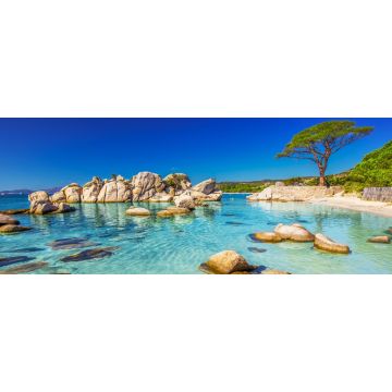 Lais Puzzle - Pinienbaum am Strand von Palombaggia, Korsika, Frankreich, Panorama - 2.000 Teile