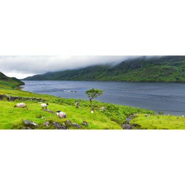 Lais Puzzle - Killary Harbour, Irland, Panorama - 2.000 Teile