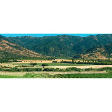 Lais Puzzle - Colchagua Tal, Chile, Panorama - 2.000 Teile