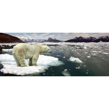 Lais Puzzle - Eisbär auf Scholle, Panorama - 2.000 Teile