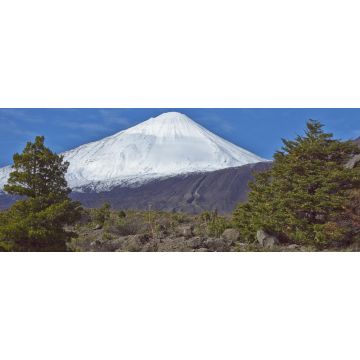 Lais Puzzle - Der schneebedeckte Gipfel des Vulkans Antuco (2.979 m) erhebt sich über einem bewaldeten Tal im Nationalpark Laguna de Laja in der Bio-Bio-Region von Chile, Panorama - 2.000 Teile
