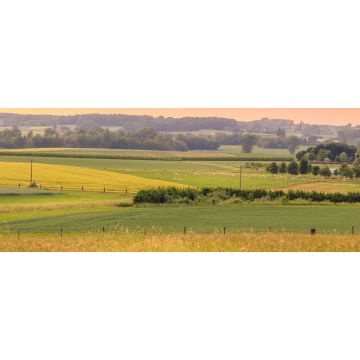 Lais Puzzle - Sonnenuntergang über einer grünen Landschaft mit Schafen und einem kleinen Dorf im Frühling. Tienen, Flandern Belgien, Panorama - 2.000 Teile
