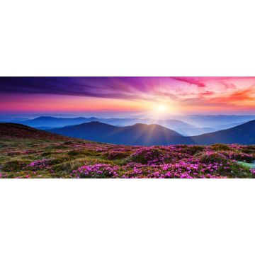 Lais Puzzle - Blumen, Panorama - 2.000 Teile