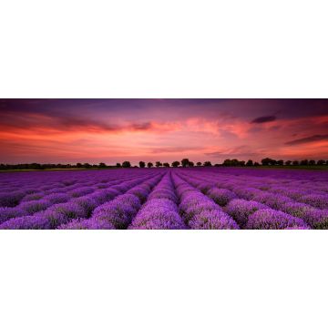 Lais Puzzle - Atemberaubende Landschaft mit Lavendelfeld bei Sonnenuntergang, Panorama - 2.000 Teile