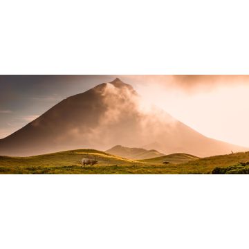 Lais Puzzle - Riesiger Stier vor dem Vulkan Pico-Azoren, Portugal, Panorama - 2.000 Teile
