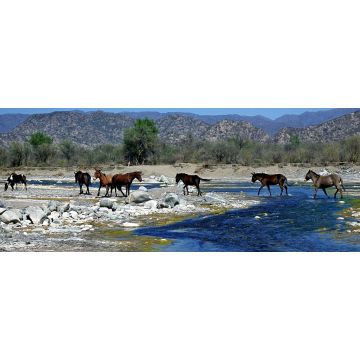 Lais Puzzle - Blick auf Wildpferde im Valle Fértil, San Juan, Argentinien, Panorama - 2.000 Teile
