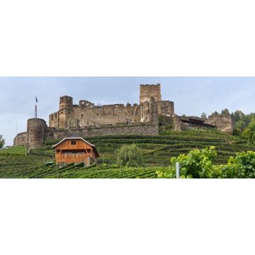 Lais Puzzle - Burgruine Glanegg in Kärnten, Panorama - 2.000 Teile