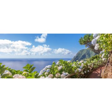 Lais Puzzle - Küstenweg mit Hortensien in Sao Miguel, Azoren Inseln, Panorama - 2.000 Teile