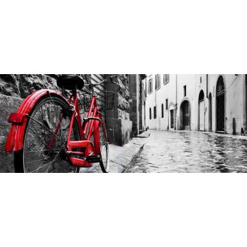 Lais Puzzle - Retro Vintage rotes Fahrrad auf Kopfsteinpflaster Straße in der Altstadt. Farbe in schwarz-weiß, Panorama - 2.000 Teile