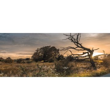 Lais Puzzle - Sommerabend in der Nähe von Kilsyth, North Lanarkshire, Panorama - 2.000 Teile