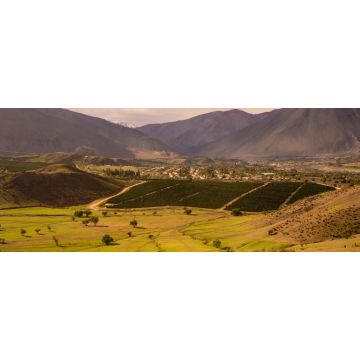 Lais Puzzle - Kakteen, Berge und Täler in der Nähe der Stadt Vicuña Vicuna. Elqui-Tal in Chile, Panorama - 2.000 Teile