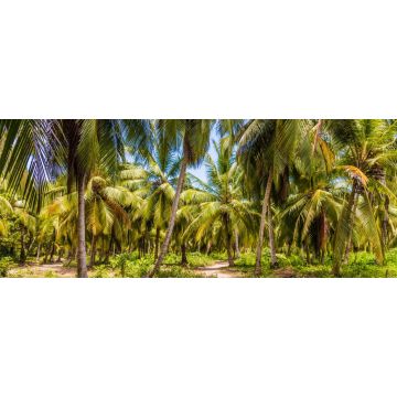 Lais Puzzle - Ein Blick im Tayrona-Nationalpark in Kolumbien, Panorama - 2.000 Teile