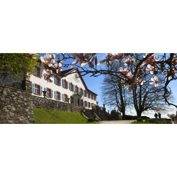 Lais Puzzle - Schloss Bürgeln bei Schliengen im Markgräflerland, Panorama - 2.000 Teile