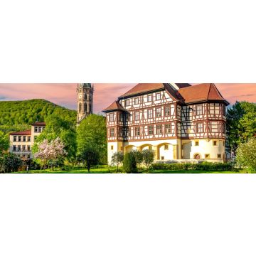 Lais Puzzle - Blick über Friedrichshafen, Deutschland - 1.000 Teile