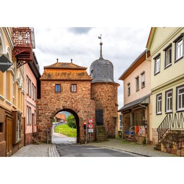 Lais Puzzle - Stadttor, Tann Rhön, Deutschland - 1.000 Teile