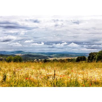 Lais Puzzle - Blumen auf einer Wiese in Ungarn - 1.000 Teile