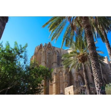 Lais Puzzle - Blick von unten durch die Palmen auf die Lala Mustafa Pascha Moschee (ehemalige St. Nicholas Kathedrale). Famagusta. Zypern - 1.000 Teile