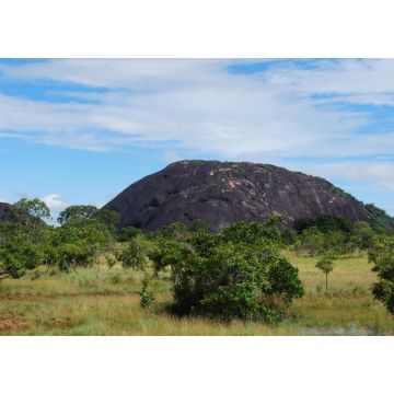 Lais Puzzle - Piedra La Tortuga Rio Orinoco, Puerto Ayacucho, Estado Amazonas Sur de Venezuela - 1.000 Teile