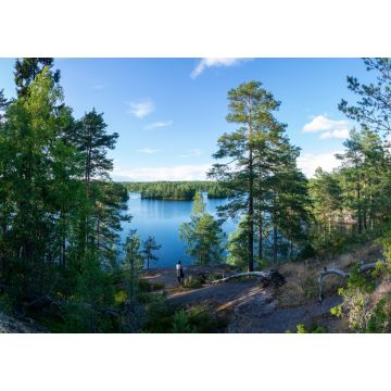 Lais Puzzle - Sommerliche Seeszene am Wanderweg im Teijo-Nationalpark, Salo, Finnland. Bäume und der Matildajarvi-See - 1.000 Teile