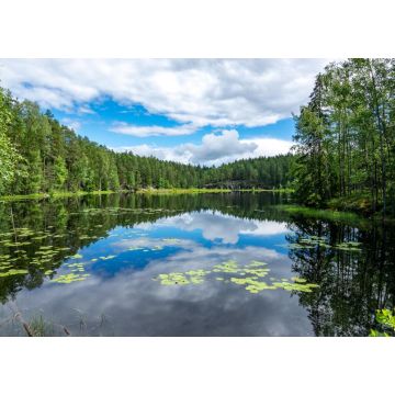 Lais Puzzle - Szene am Wanderweg im Nuuksio-Nationalpark, Espoo, Finnland - 1.000 Teile