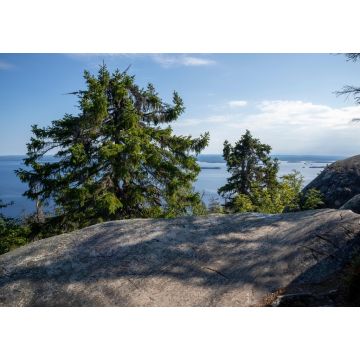 Lais Puzzle - Aussicht vom Gipfel des Koli-Nationalparks in Finnland, Europa - 1.000 Teile