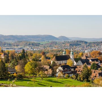 Lais Puzzle - Arlesheim, Baselland, Schweiz - 1.000 Teile