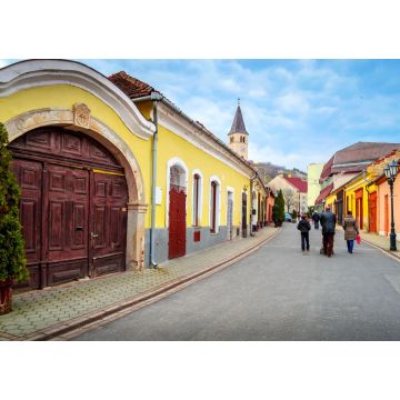Lais Puzzle - Schöne, gemütliche Straße in Tokaj, Ungarn. Tokaj ist das Zentrum der berühmten Tokajer Weinregion - 1.000 Teile