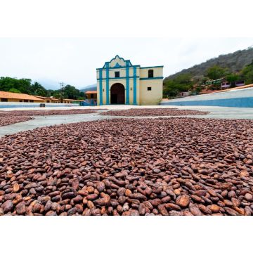 Lais Puzzle - Kakaobohnen beim Trocknen im Innenhof der Kirche von Chuao im Bundesstaat Aragua, Venezuela - 1.000 Teile