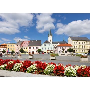 Lais Puzzle - Stadt Tachov, Westböhmen, Tschechische Republik - 1.000 Teile