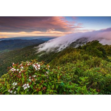 Lais Puzzle - Landschaft Nebelmeer im Doi Pha Hom Pok Nationalpark, Provinz Chaingmai Thailand - 1.000 Teile