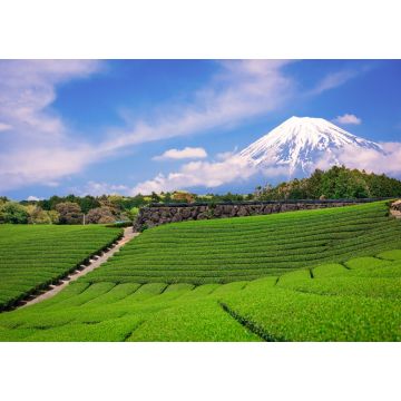 Lais Puzzle - Berg Fuji und Teefelder, Japan - 1.000 Teile