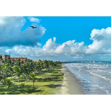 Lais Puzzle - Paradiesischer Ort mit Palmen und Strand in Tucacas, Venezuela - 1.000 Teile