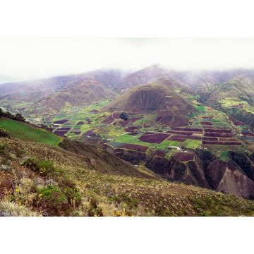 Lais Puzzle - Plantagen auf einem Berg, Tuñame, Bundesstaat Trujillo, Venezuela - 1.000 Teile