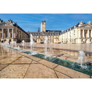 Lais Puzzle - Stadtzentrum Dijon: der Herzogspalast - 1.000 Teile