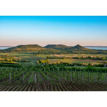 Lais Puzzle - Weinberge und der Berg Badacsony mit dem Plattensee bei Sonnenuntergang in Ungarn - 1.000 Teile