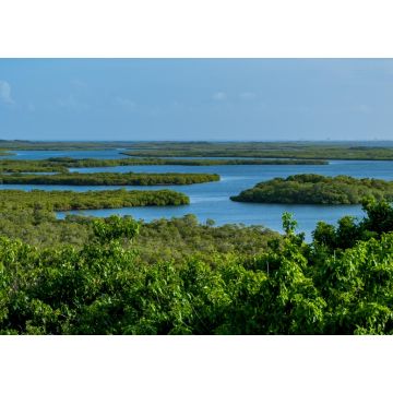 Lais Puzzle - Tropische Meereslandschaft mit Wasservegetation im Nationalpark von Morrocoy (Falcon, Venezuela) - 1.000 Teile