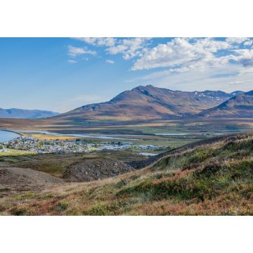 Lais Puzzle - Dalvik, Island - 1.000 Teile