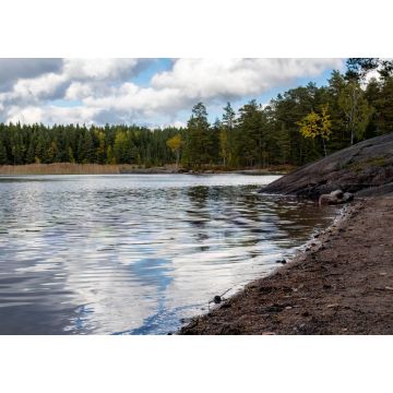 Lais Puzzle - Sandstrand in einem finnischen Wald im Herbst. Teijo-Nationalpark, Salo - 1.000 Teile