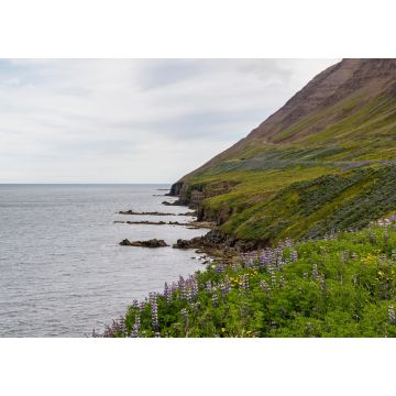 Lais Puzzle - Blick entlang der Küstenlinie von Ólafsfjörður in Island - 1.000 Teile