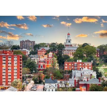 Lais Puzzle - Macon, Georgia, USA Skyline des Stadtzentrums - 1.000 Teile