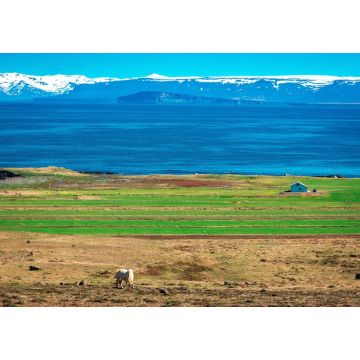 Lais Puzzle - Pferd und Haus, Halbinsel Skagi, Nordwestliche Region, Island - 1.000 Teile